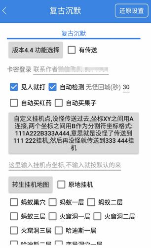 996辅助
