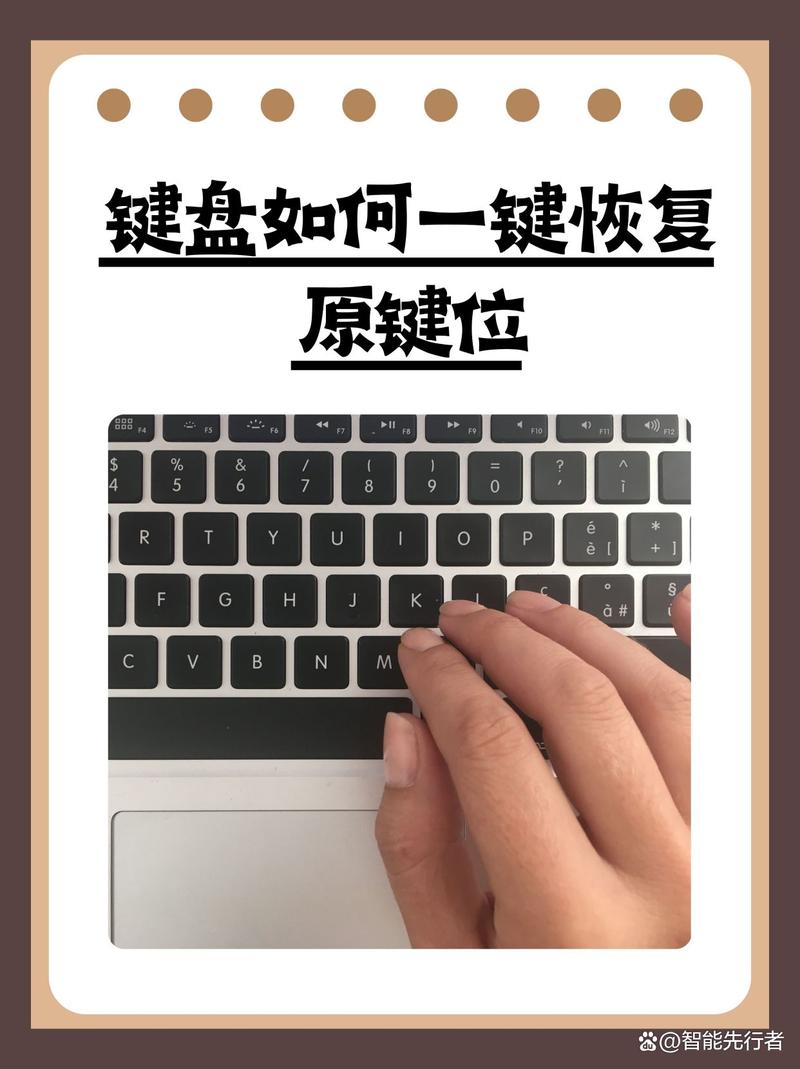 oppo手机键盘失灵的解决方法