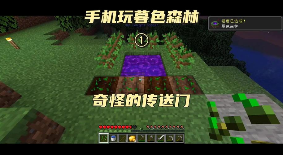 我的世界暮色森林黑暗森林攻略缩略图