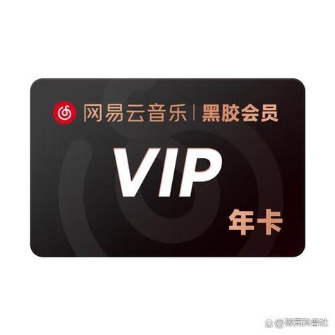 网易云黑胶svip兑换码游戏截图