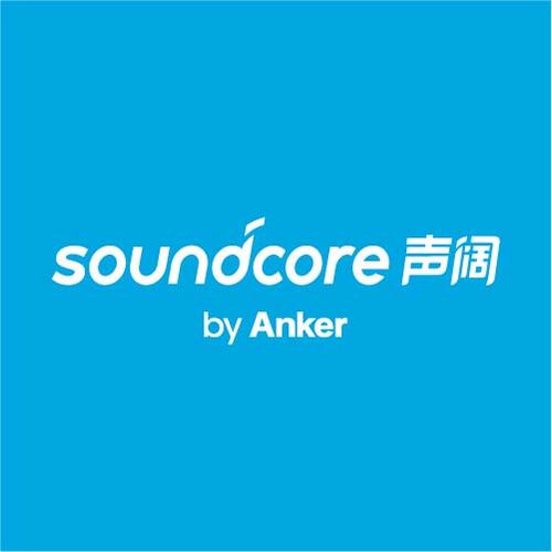 声阔官网验证图标