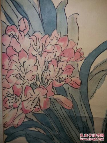 君子兰app小说