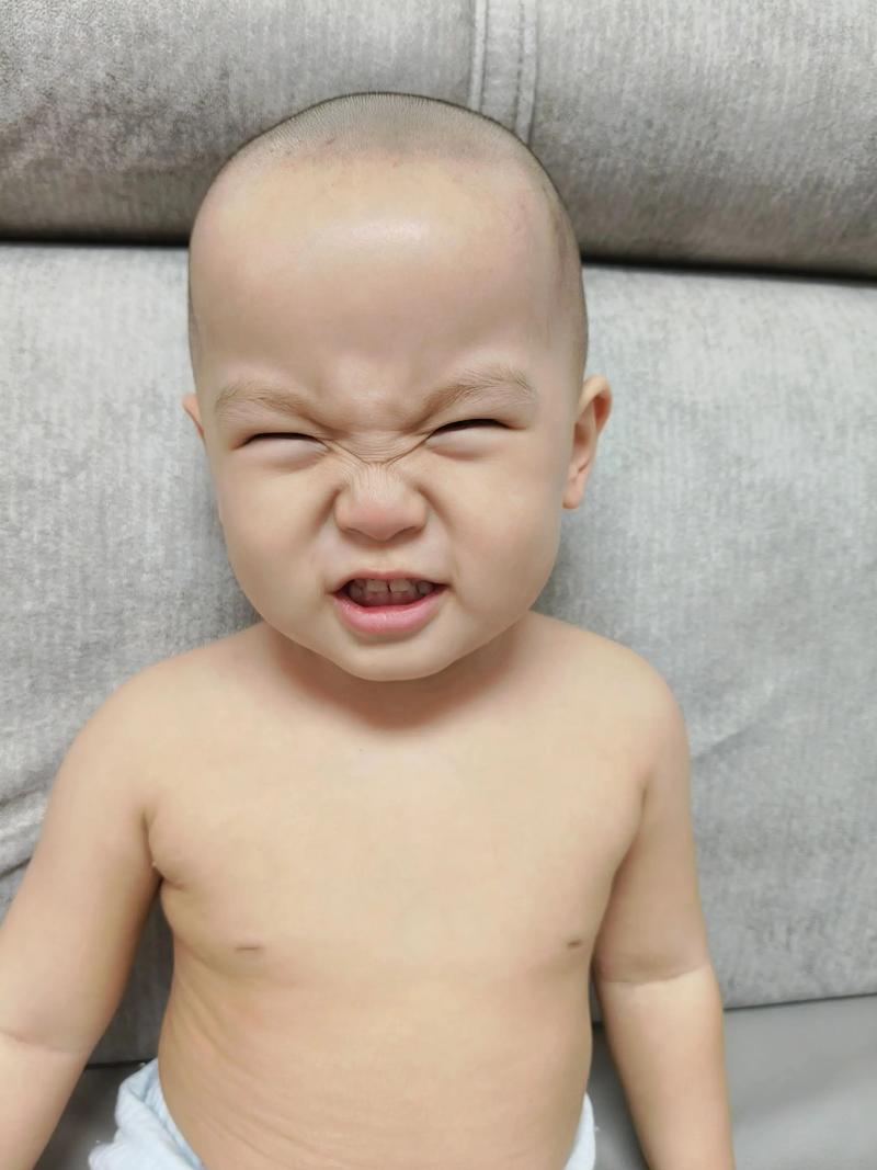 光头强的歌怎么唱图标