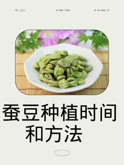 蚕豆怎么种植方法视频缩略图