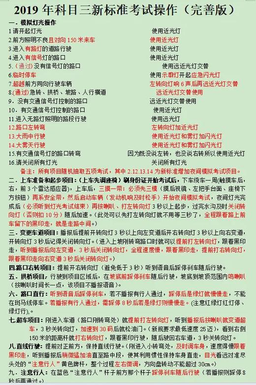 科目三考试全部过程游戏截图