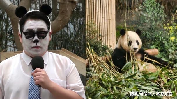 熊猫人工客服24小时服务