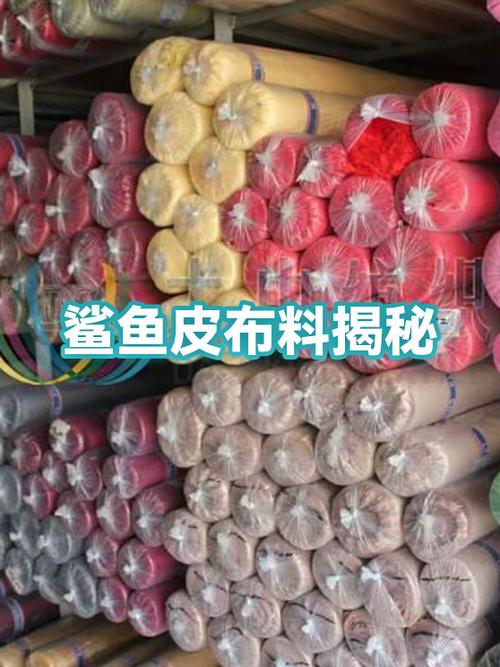 鲨鱼干是什么鲨鱼缩略图