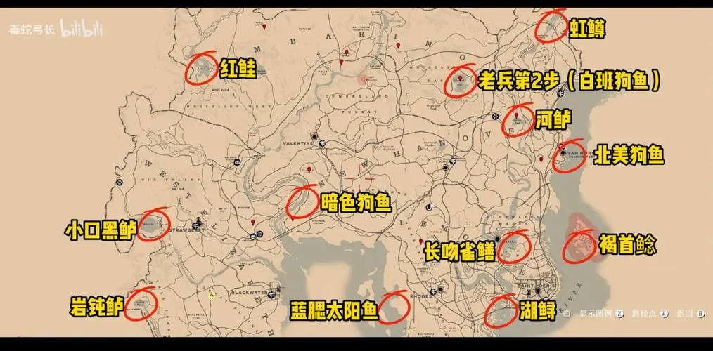 荒野大镖客2传说鱼最后奖励截图