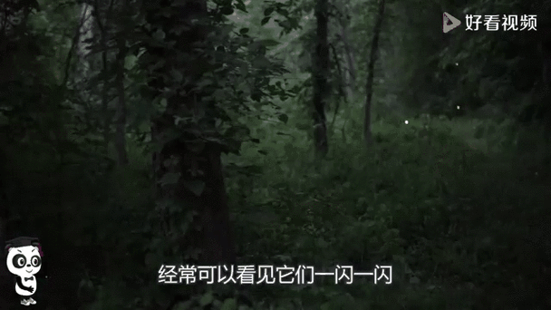 聊天背景黑色截图