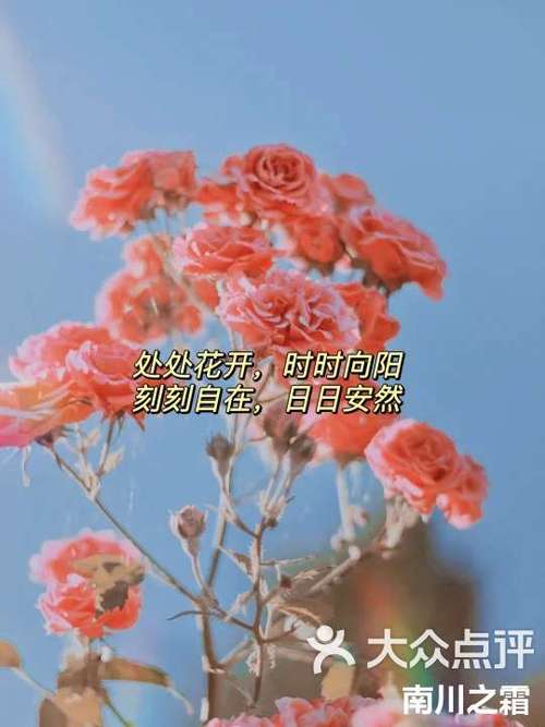 朋友圈发花的照片配什么文字截图