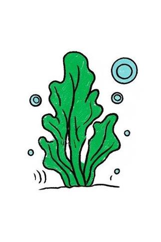 海藻儿童画缩略图
