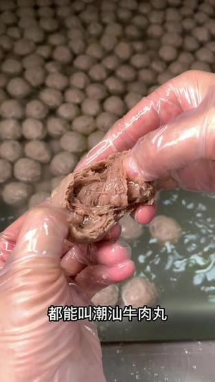 丸子妹潮汕牛肉丸官网图标