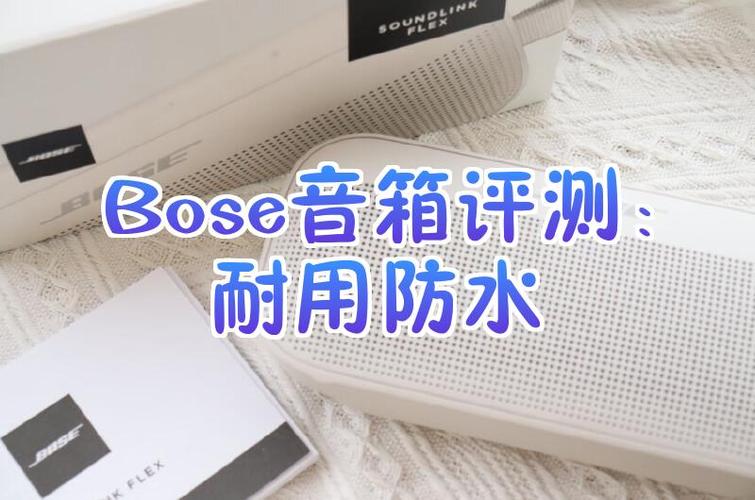 bose遥控器没反应游戏截图