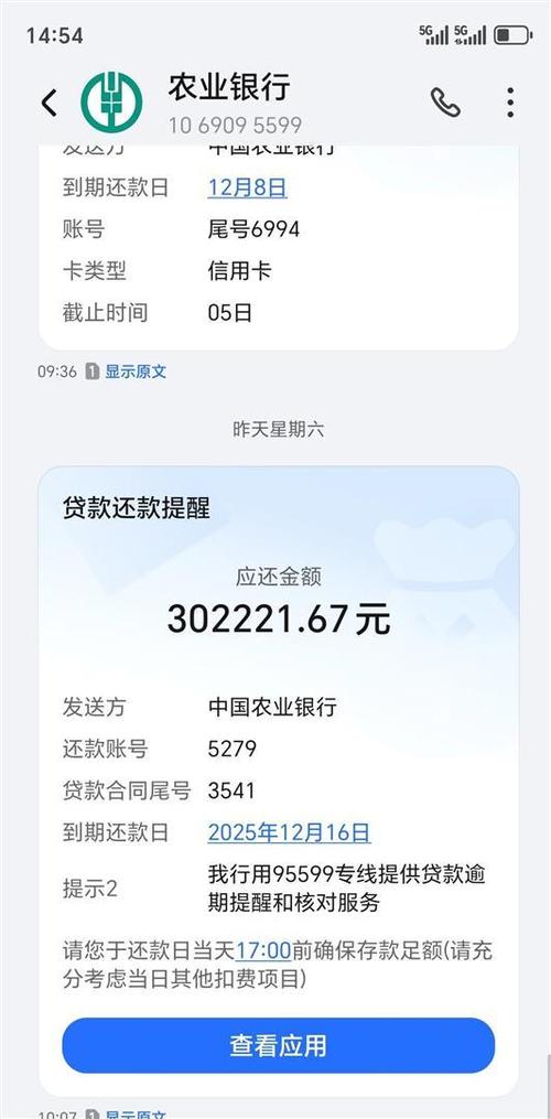 欠银行30万到期还不了怎么办缩略图