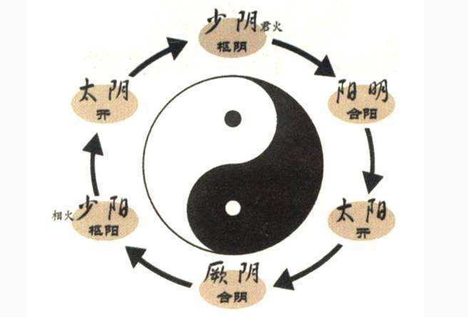 三阴催心决给谁练最好截图