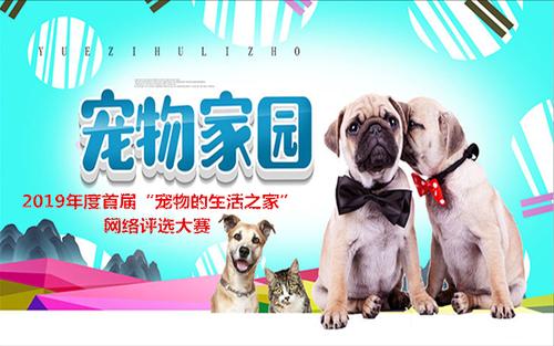 宠物救助站领养宠物图标