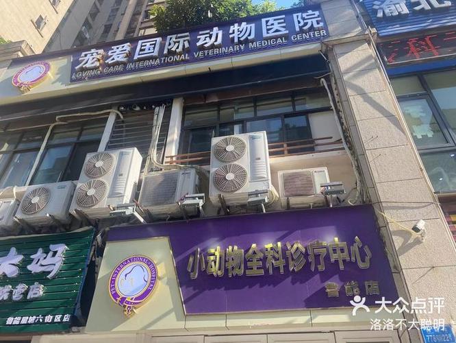 宠爱国际宠物医院缩略图
