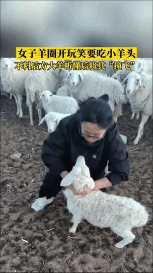 羊脖子上的绳子怎么拴缩略图