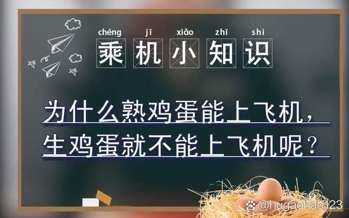 随身携带鸡蛋可以上飞机吗游戏截图