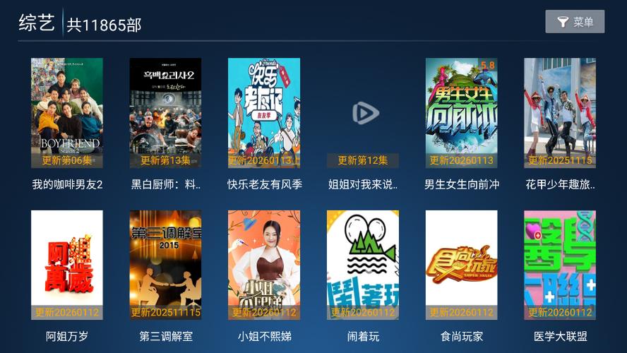 飞鹰tv授权码