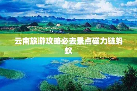 最好用的磁力链蚂蚁图标