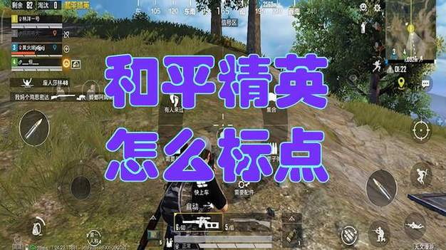 和平标点在哪里设置游戏截图
