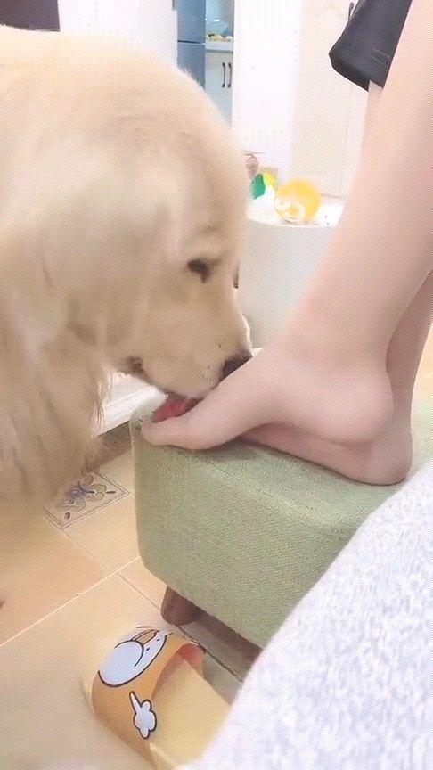 男生给女生当狗舔脚是什么心理表现