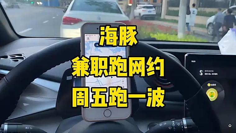 海豚兼职图标
