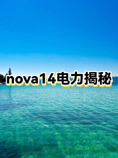 Nova寿命一般几年