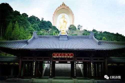 东林佛号最好听的念佛声图标