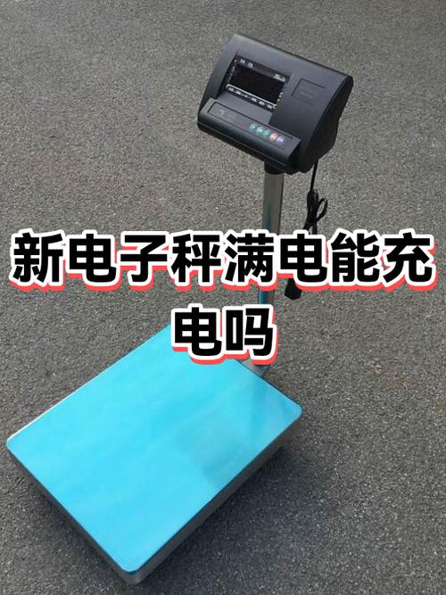 电子秤充电几个小时充满