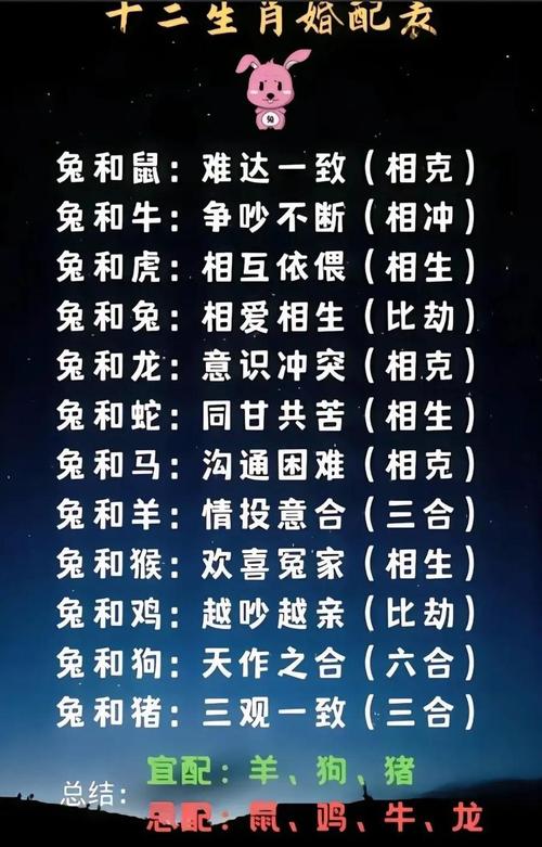 喜兔和中通什么关系
