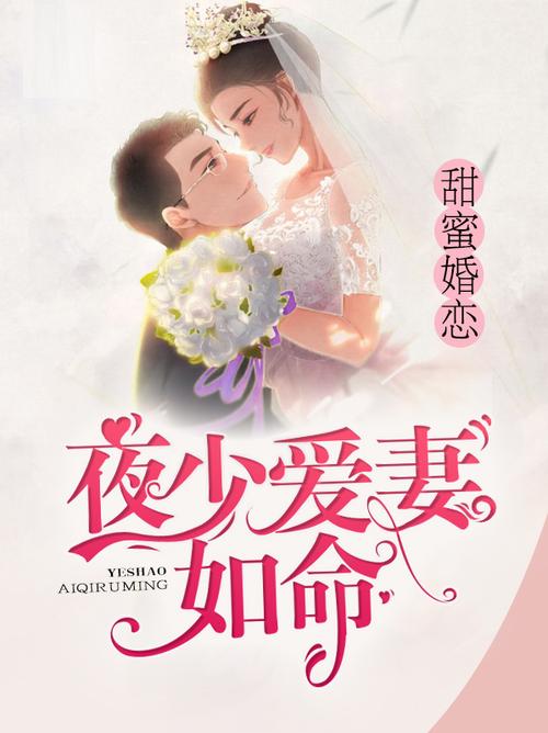 甜蜜婚恋夜少爱妻如命免费阅读截图