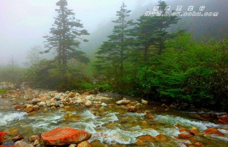 万里数藏官网入口