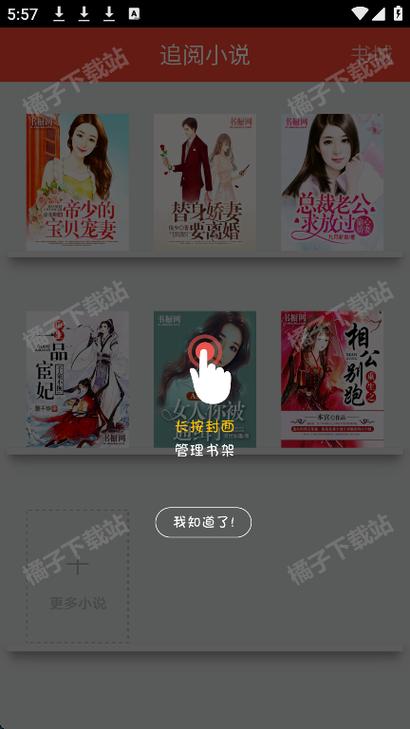 追阅免费阅读小说下载