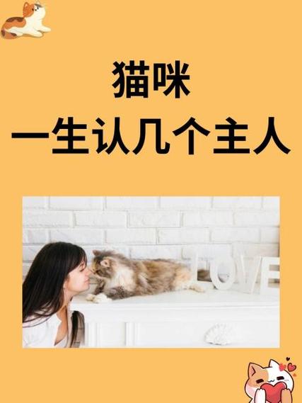 蓝猫一生认几个主人缩略图