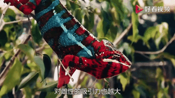 华为拍照一瞬间变色图标