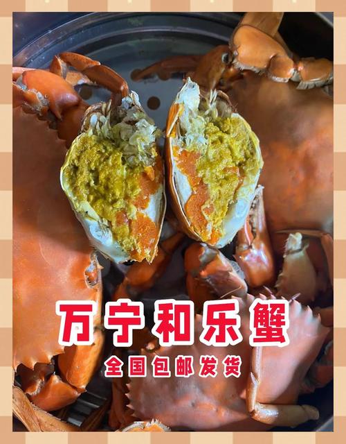 螃蟹代售图标