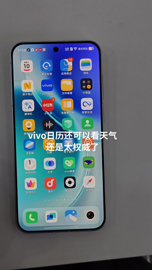 vivo日历APP老版本缩略图