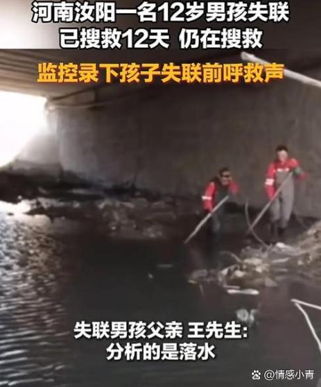 电脑网页没声音了 如何恢复