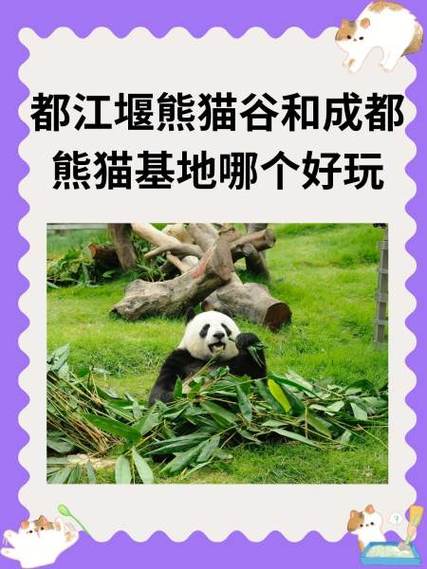 熊猫谷和熊猫乐园区别缩略图