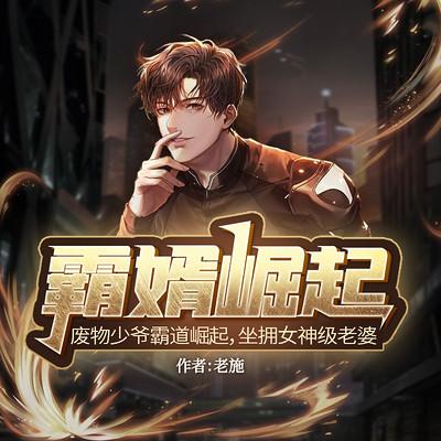 霸婿崛起免费阅读全文缩略图