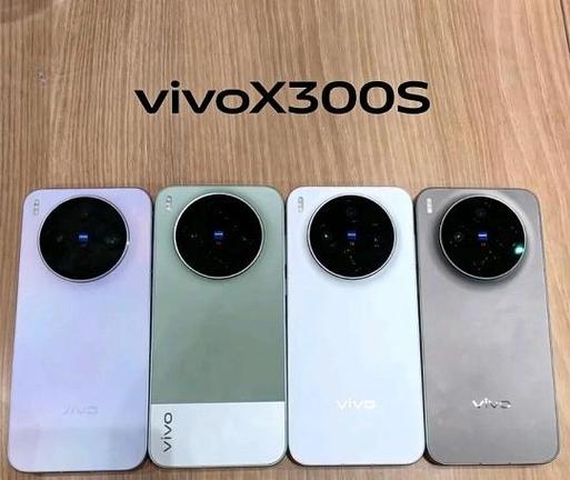 vivox300s配置参数截图