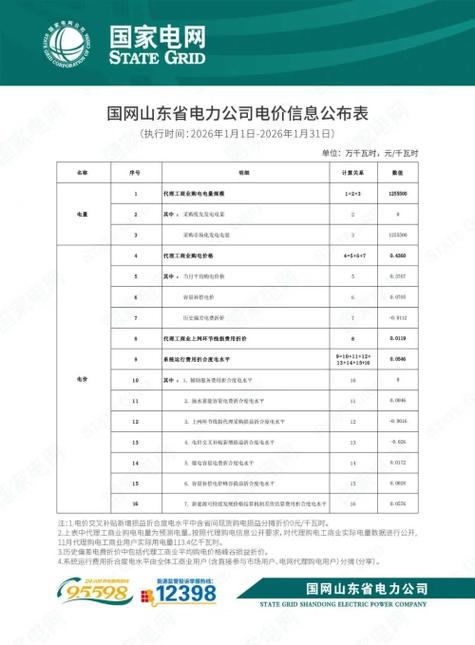 国网山东电力查询电费游戏截图