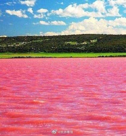 西澳粉色海洋介绍截图