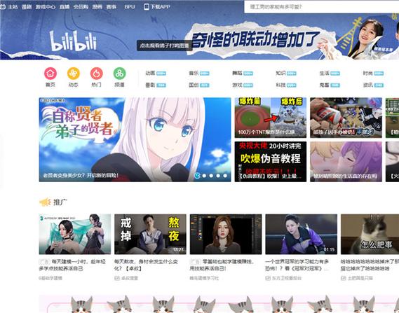 网页版哔哩哔哩图标