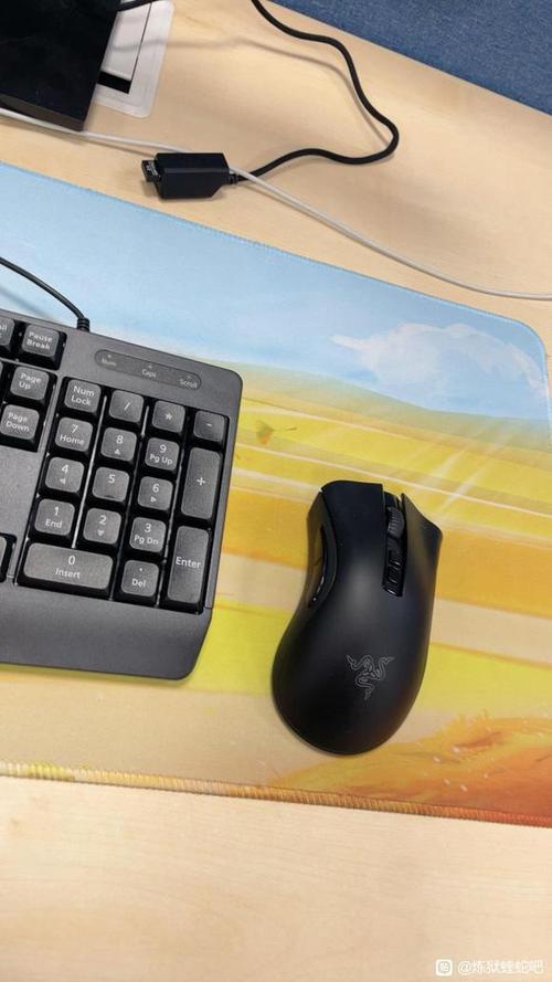 炼狱蝰蛇v2pro截图