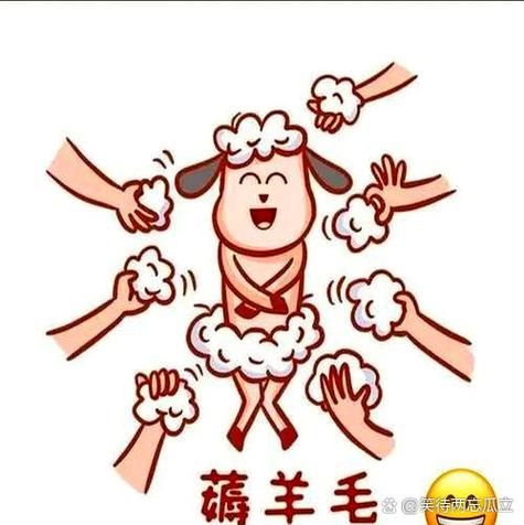 羊毛党啥意思图标