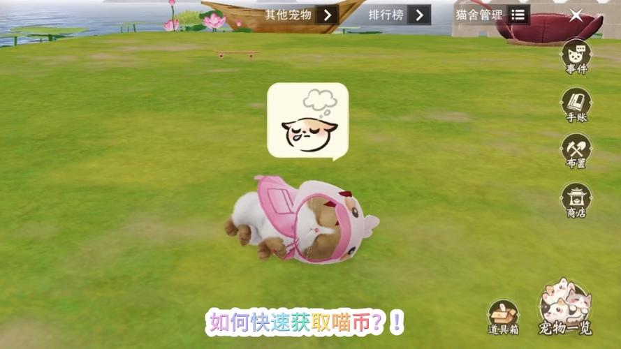 喵币可以兑换哪些物品缩略图