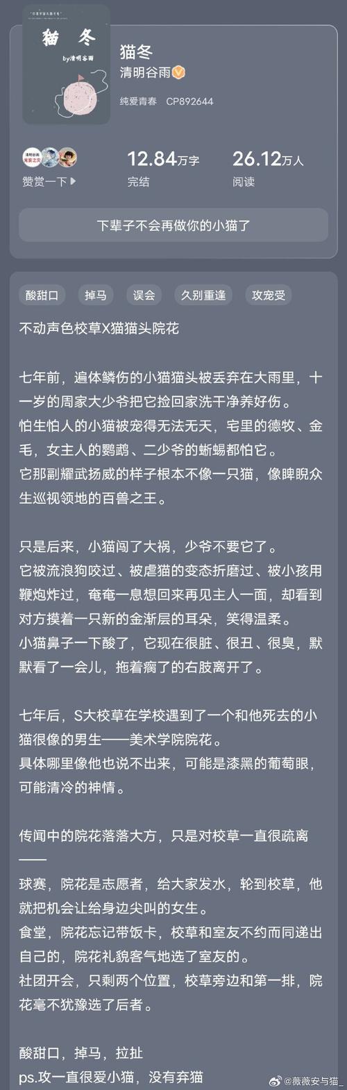 猫眼黄豆作者的小说游戏截图